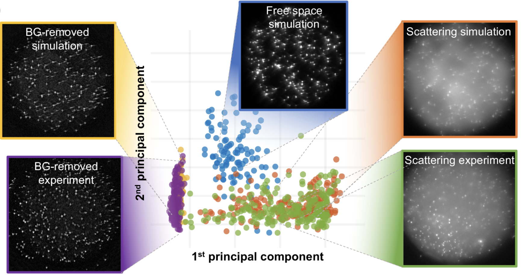 3D fluorescence imaging neural network by Jeffrey Alido
